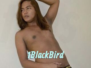 1BlackBird