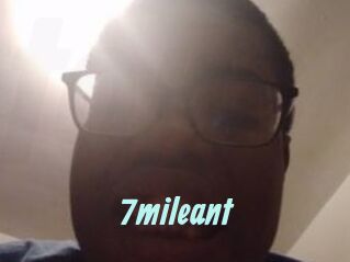 7mileant