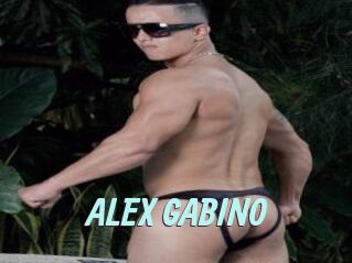 ALEX_GABINO