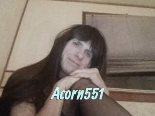 Acorn551