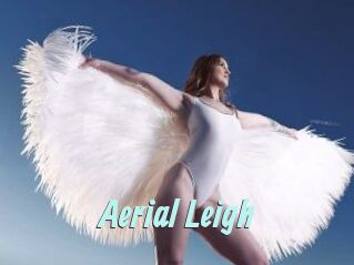 Aerial_Leigh