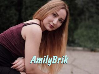 AmilyBrik
