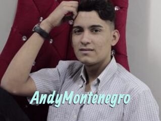 AndyMontenegro