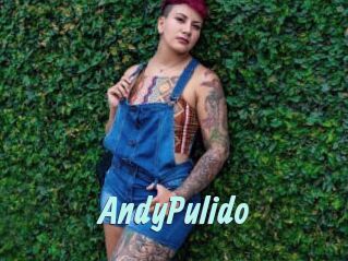 AndyPulido