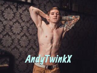 AndyTwinkX