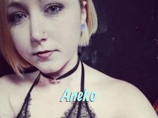 Aneko