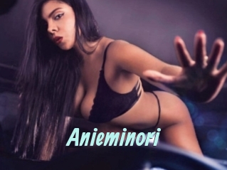 Anieminori Ton Show