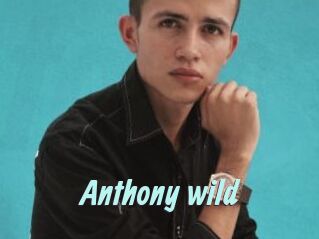 Anthony_wild
