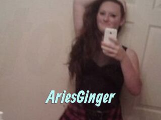 AriesGinger