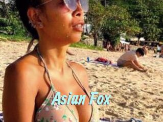 Asian_Fox