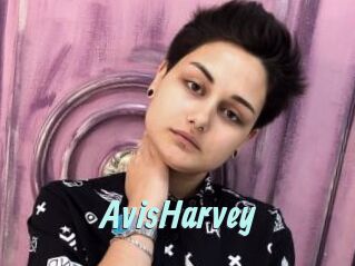 AvisHarvey