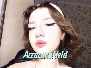 Accacornfield