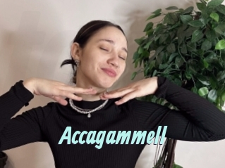 Accagammell