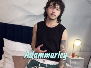 adammarley Ton Show