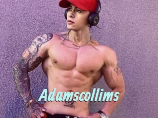 Adamscollims