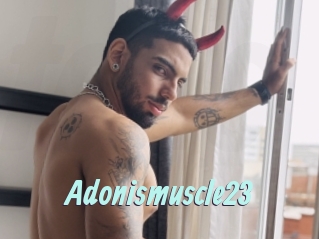 Adonismuscle23