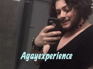 Agayexperience