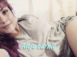 Aleja_burnig