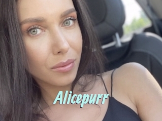 Alicepurr