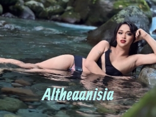 Altheaanisia