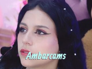 Ambarcams