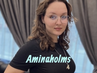 Aminaholms