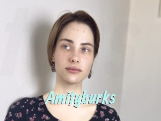 Amityburks
