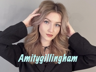 amitygillingham Ton Show