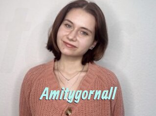 Amitygornall