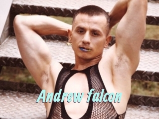 Andrew_falcon