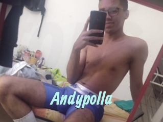 Andypolla