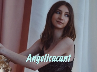 Angelicacant