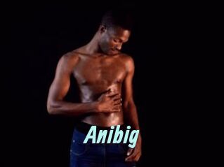 Anibig