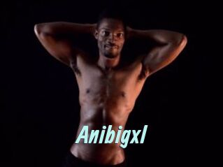 Anibigxl