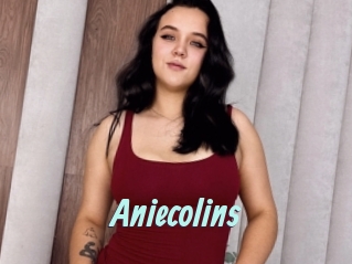 Aniecolins