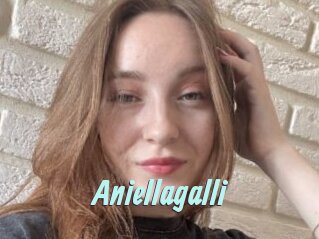Aniellagalli