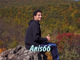 Anis66