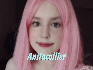 Anitacollier