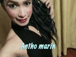 Antho_marin