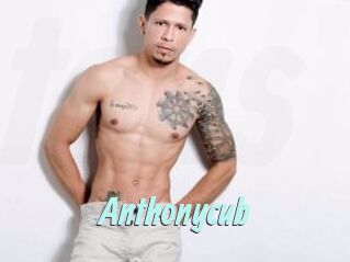 Anthonycub