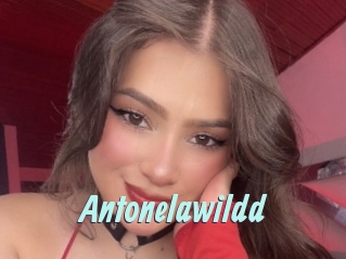 Antonelawildd