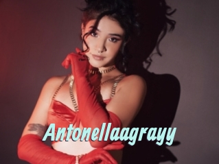 Antonellaagrayy