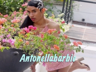 Antonellabarbie