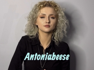 Antoniabeese
