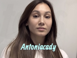 Antoniacady