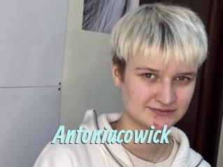 Antoniacowick
