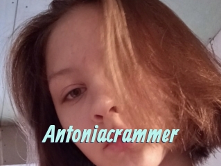 Antoniacrammer