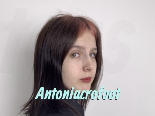 Antoniacrofoot