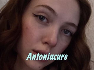 Antoniacure