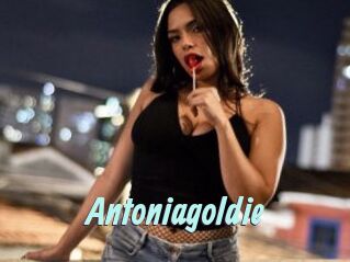 Antoniagoldie